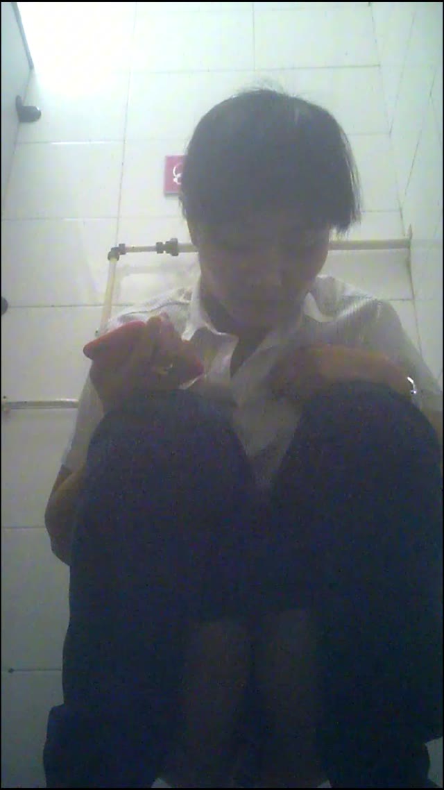 Home toilets